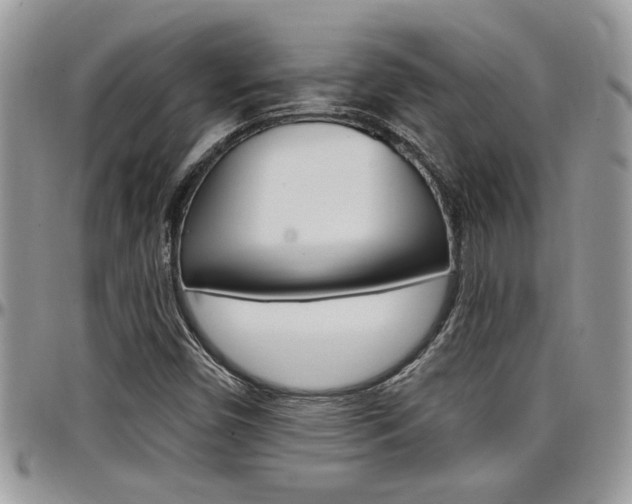 X0000097971450200803241008