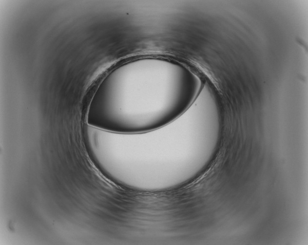 X0000097971452200803241008