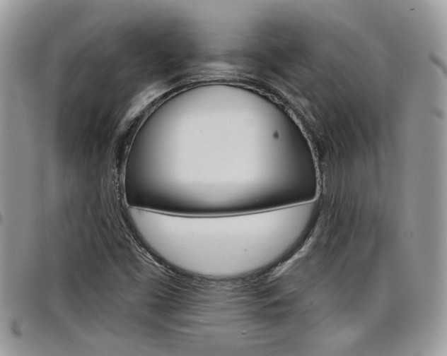X0000097971453200803241008