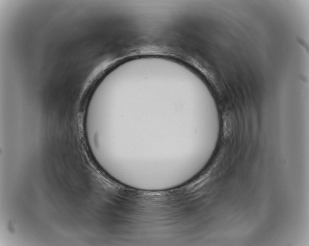 X0000097971454200803241008