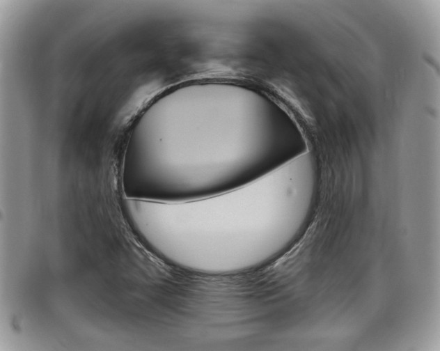 X0000097971455200803241008