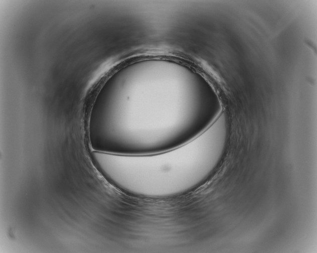 X0000097971456200803241008
