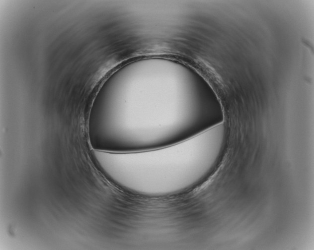 X0000097971457200803241008