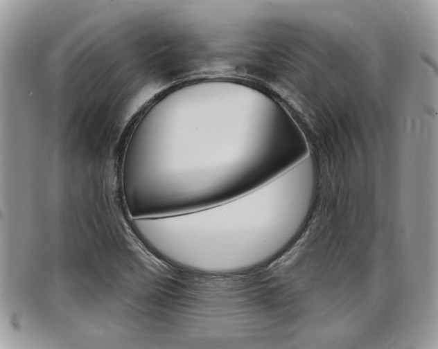 X0000097971458200803241008