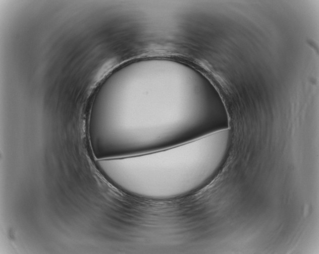 X0000097971459200803241008