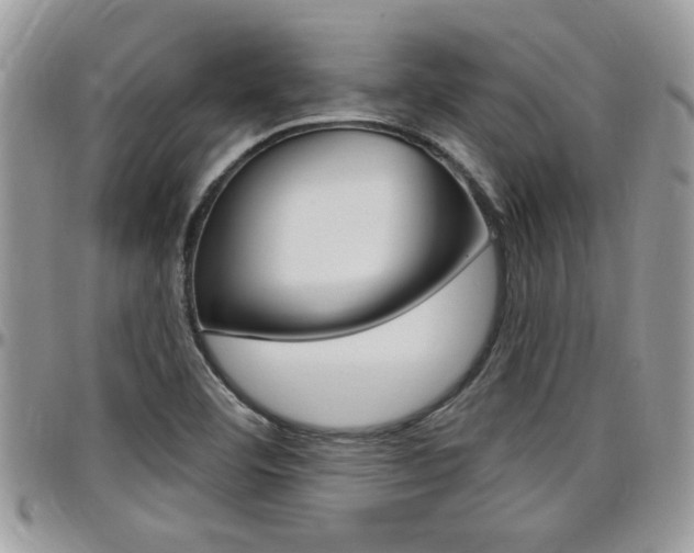 X0000097971460200803241008