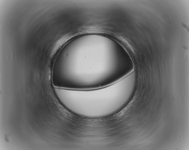 X0000097971461200803241008