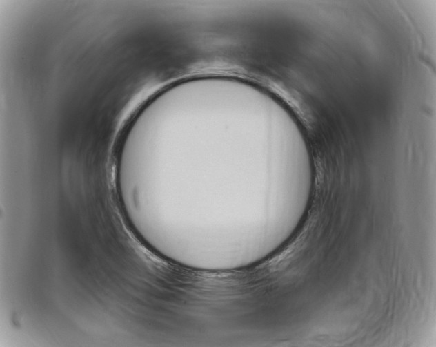 X0000097971462200803241008