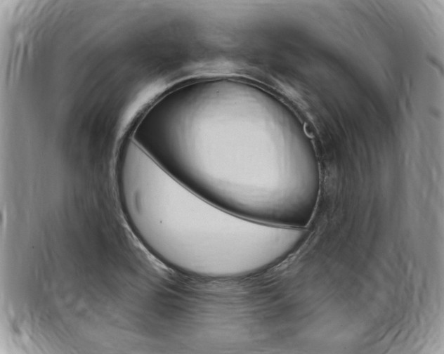 X0000097971464200803241008