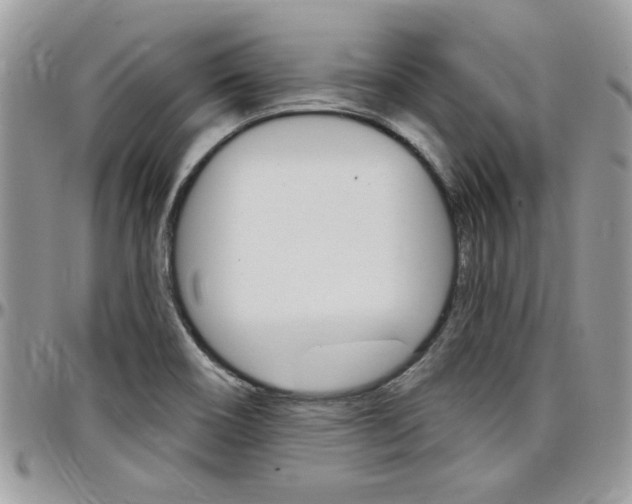 X0000097971466200803241008