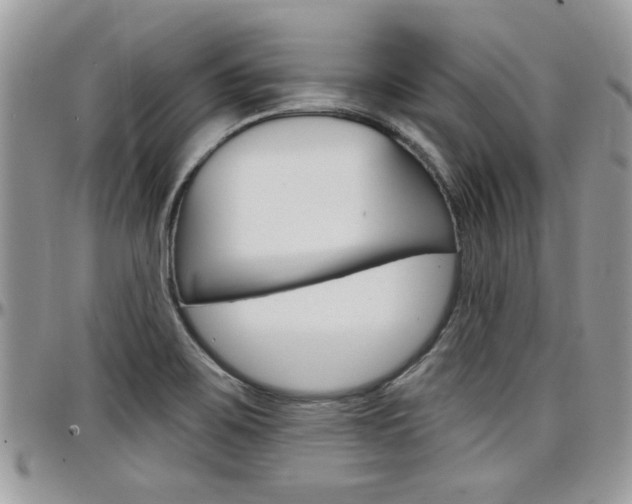 X0000097971467200803241008