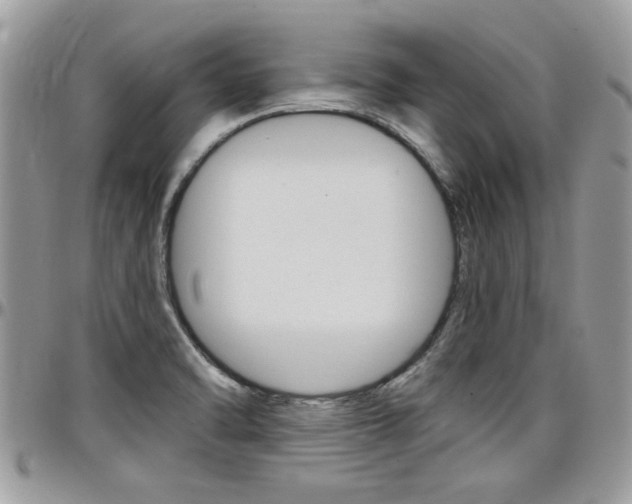 X0000097971470200803241008