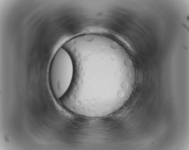 X0000097971471200803241008