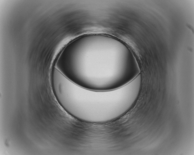 X0000097971472200803241008