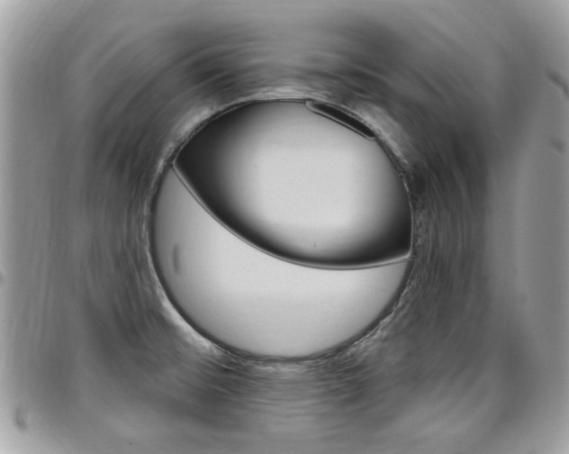 X0000097971476200803241008
