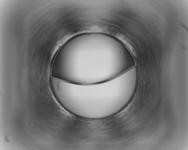 X0000097971477200803241008