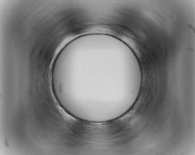 X0000097971478200803241008