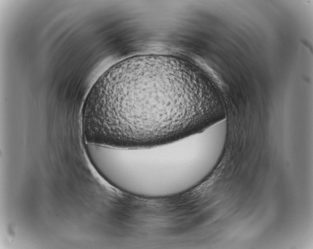 X0000097971479200803241008