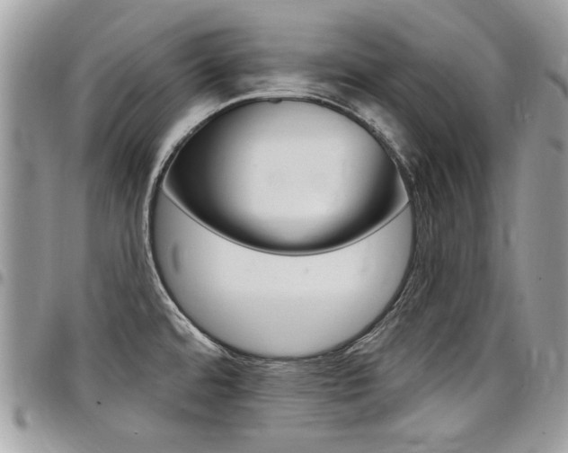 X0000097971480200803241008