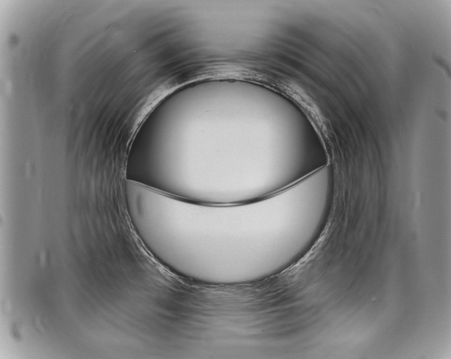X0000097971481200803241008