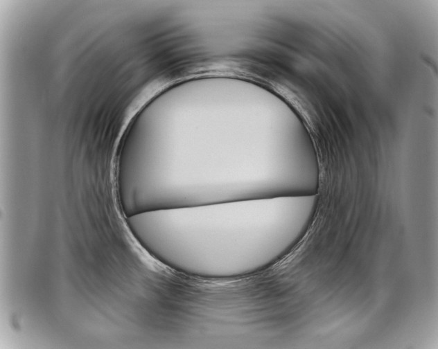 X0000097971482200803241008