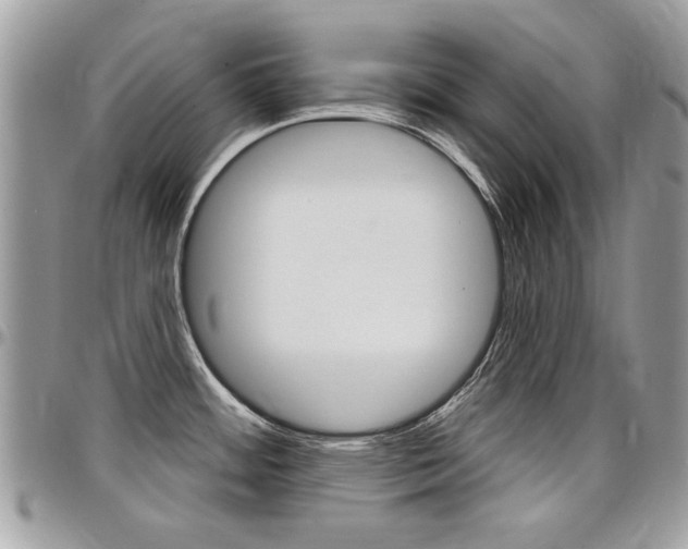 X0000097971484200803241008