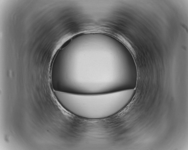 X0000097971485200803241008