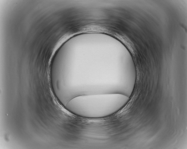 X0000097971486200803241008