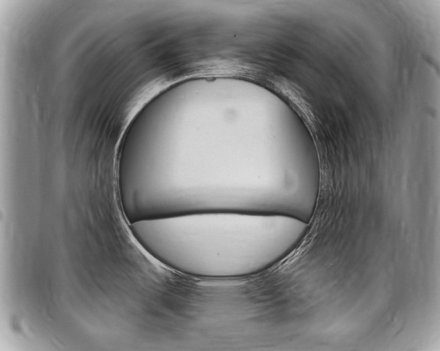 X0000097971487200803241008