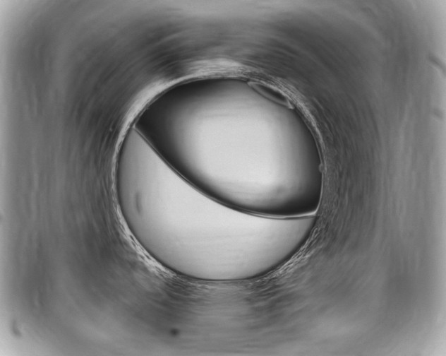 X0000097971488200803241008