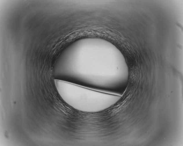 X0000097971490200803241007