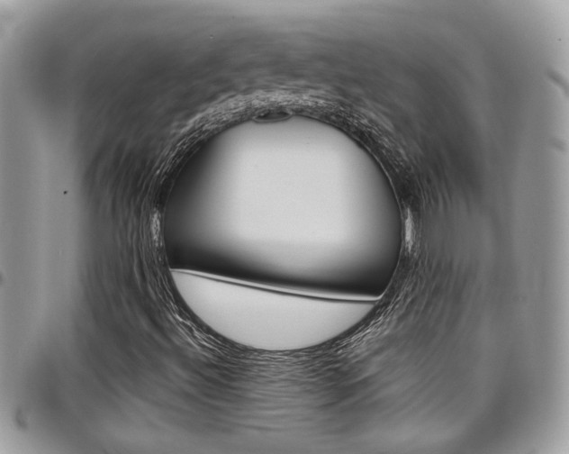 X0000097971492200803241007