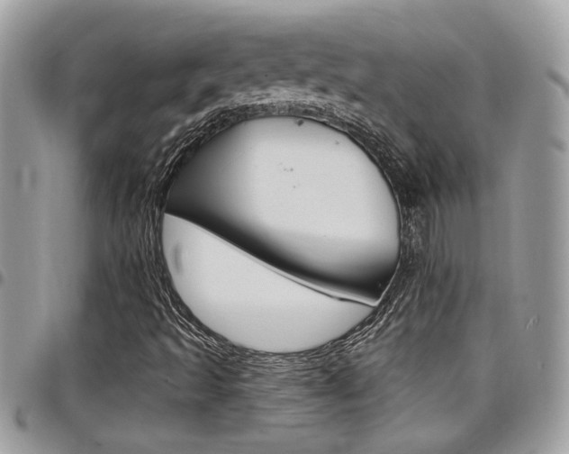 X0000097971493200803241007