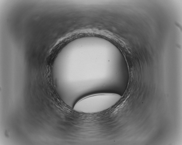 X0000097971494200803241007