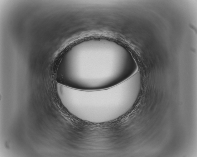 X0000097971496200803241007