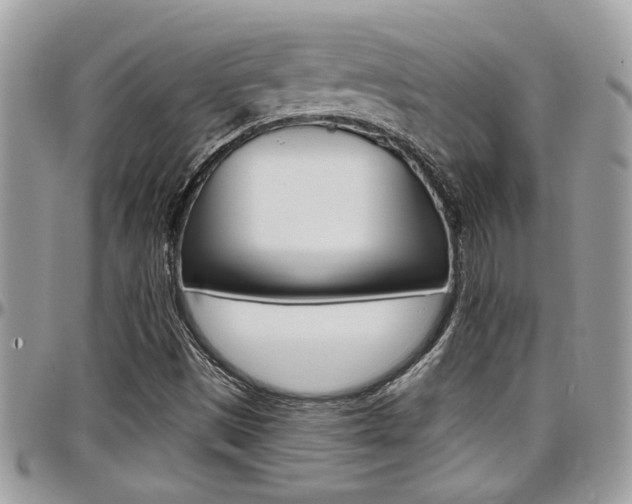 X0000097971497200803241007