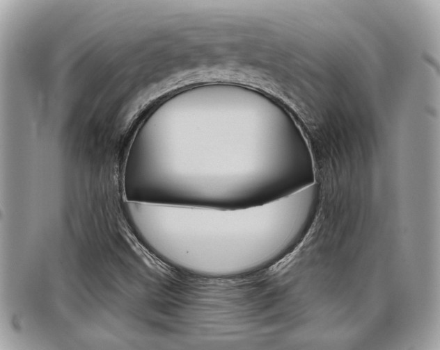 X0000097971499200803241007