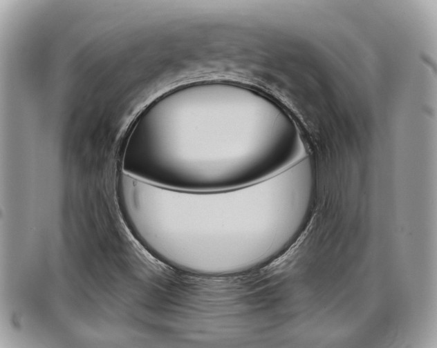 X0000097971500200803241007