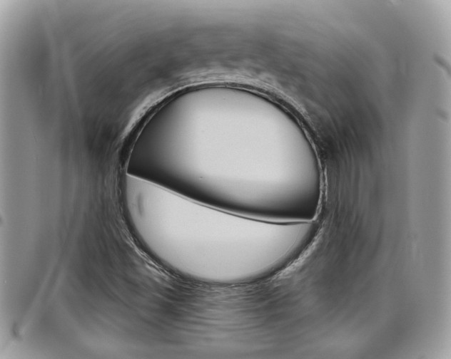 X0000097971501200803241007