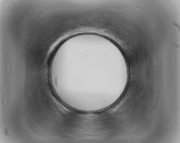 X0000097971502200803241007