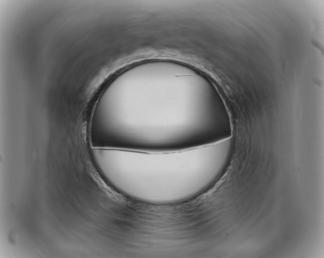 X0000097971503200803241007