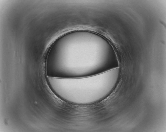 X0000097971504200803241007
