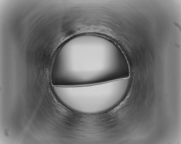 X0000097971505200803241007