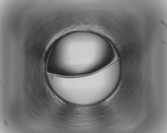 X0000097971506200803241007