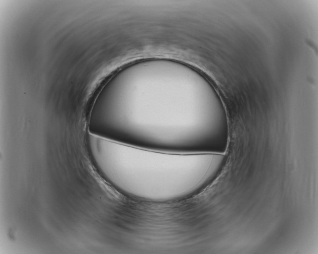 X0000097971507200803241007