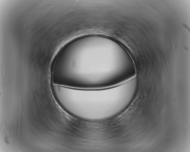 X0000097971508200803241007