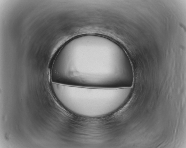 X0000097971509200803241007
