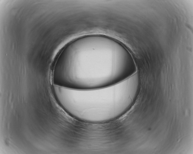 X0000097971510200803241007