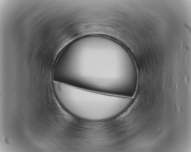 X0000097971513200803241007