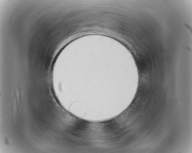 X0000097971514200803241007